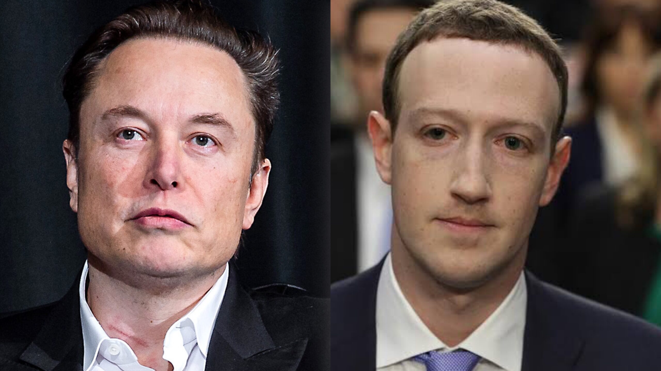 Elon Musk, Mark Zuckerberg