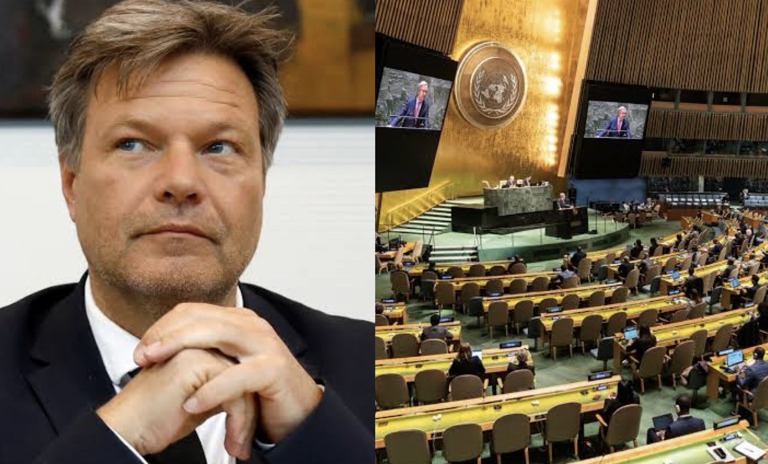 German Vice-Chancellor Robert Habeck and UN ASSEMBLY