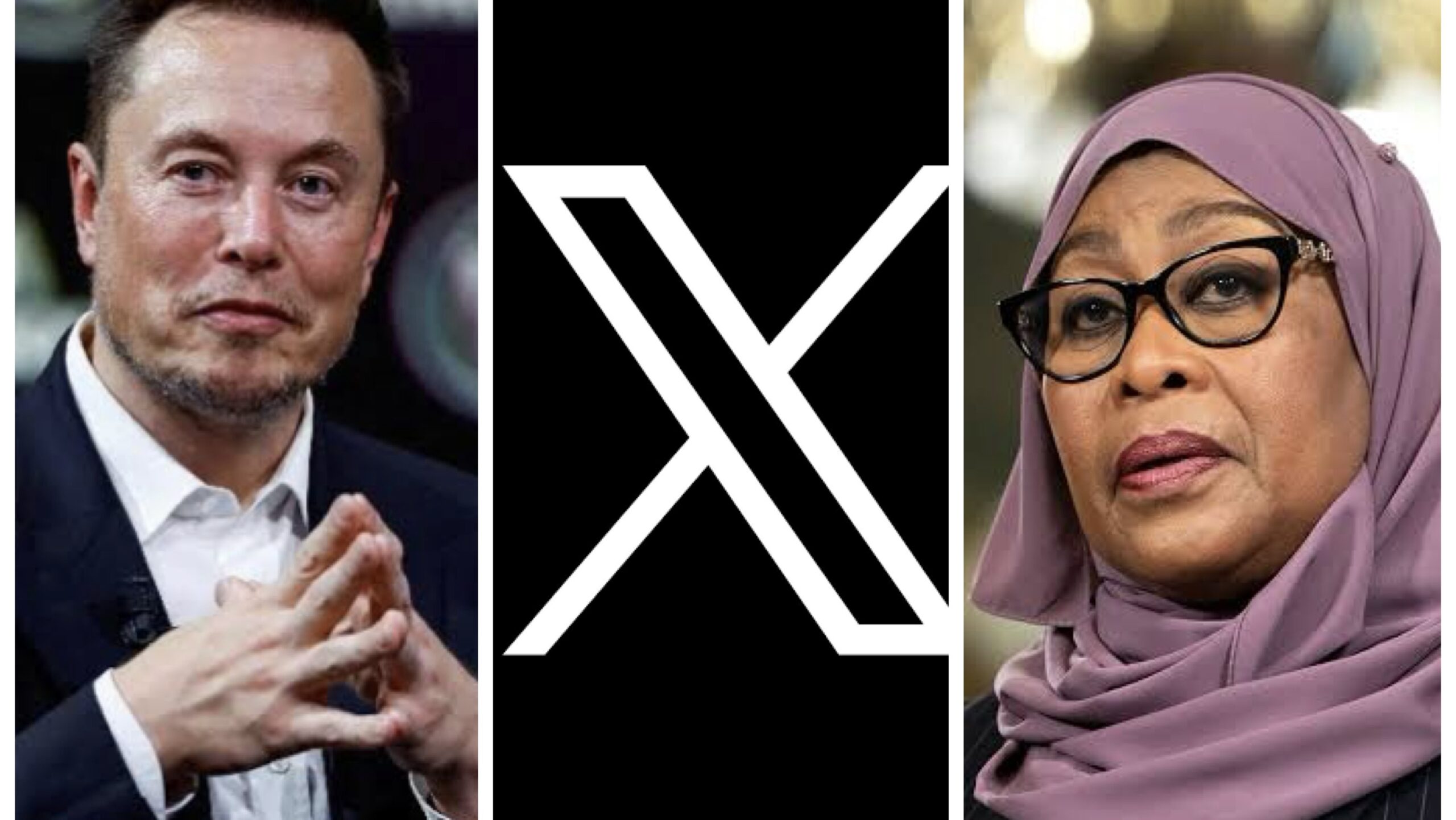 Elon Musk, X and President Samia Suluhu