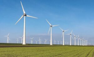 wind farm