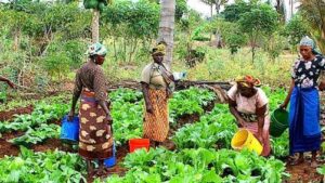 Female farmers