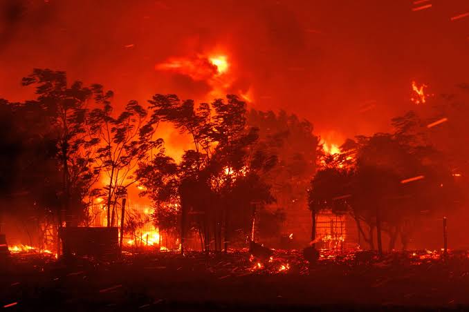 Greece wildfire