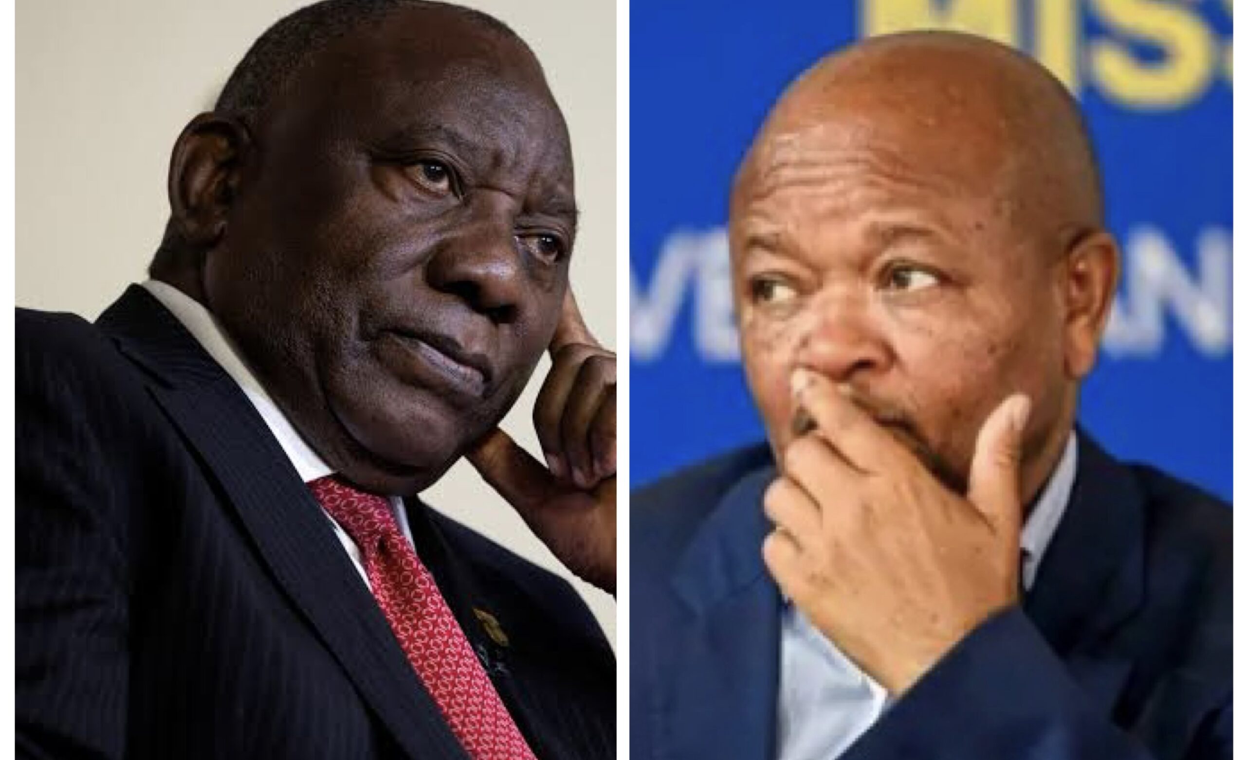 South African President Cyril Ramaphosa and Senzo Mchunu