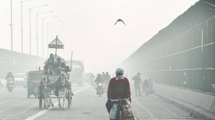 Cold wave in india