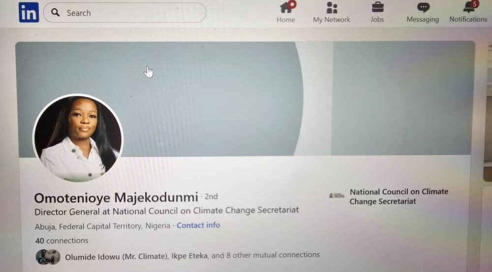 social media profile of Omotenioye Majekodunmi
