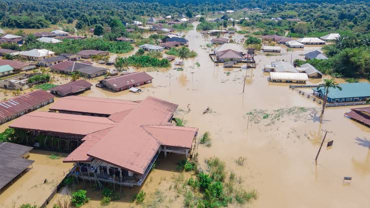 Flooded area in Delta