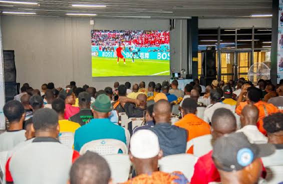 Fans watching match on TV