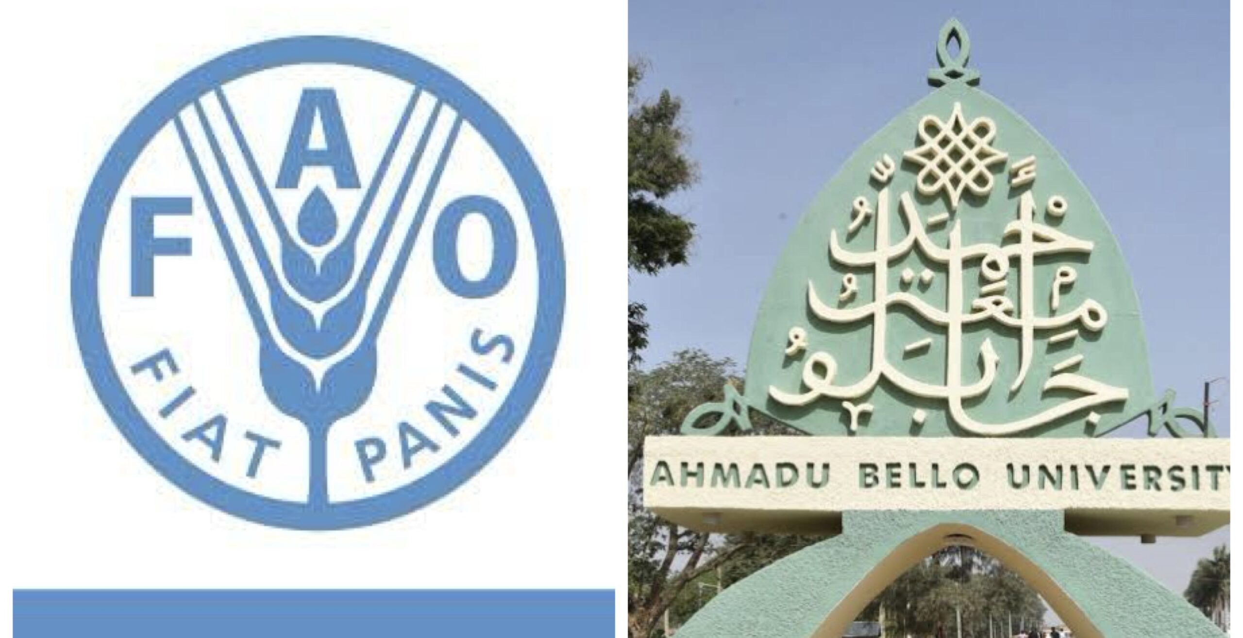 Food and Agriculture Organisation (FAO) and Ahmadu Bello University (ABU)