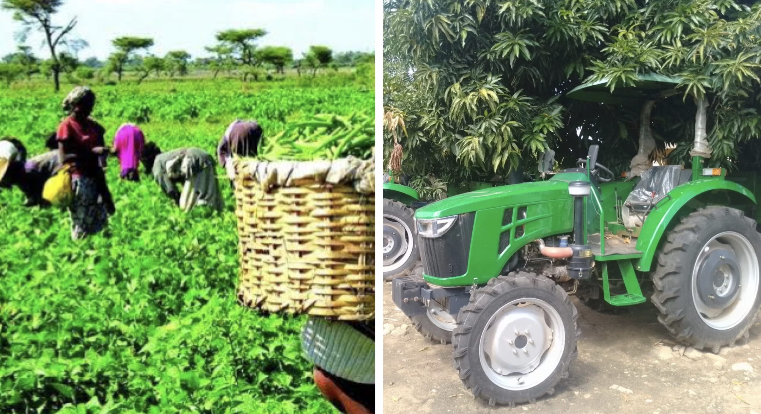 Zamfara farmers