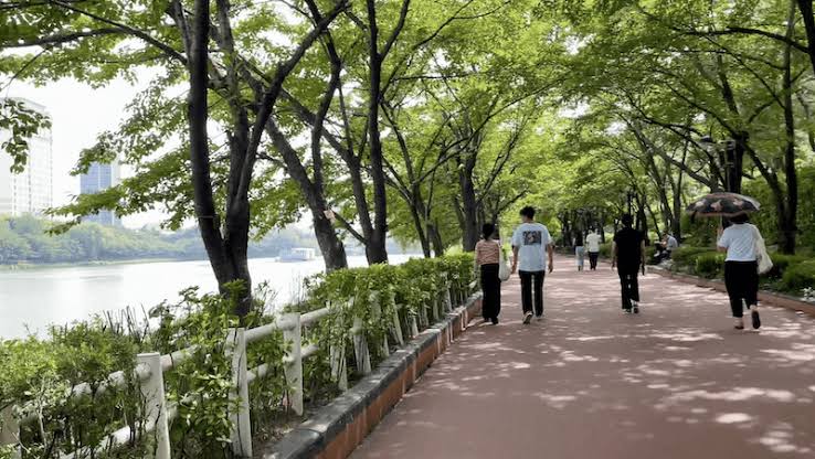 South Koreans at park