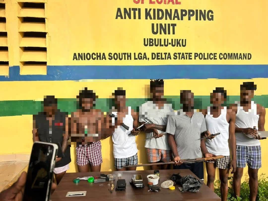 Arrested suspected Vikings, Black Axe members