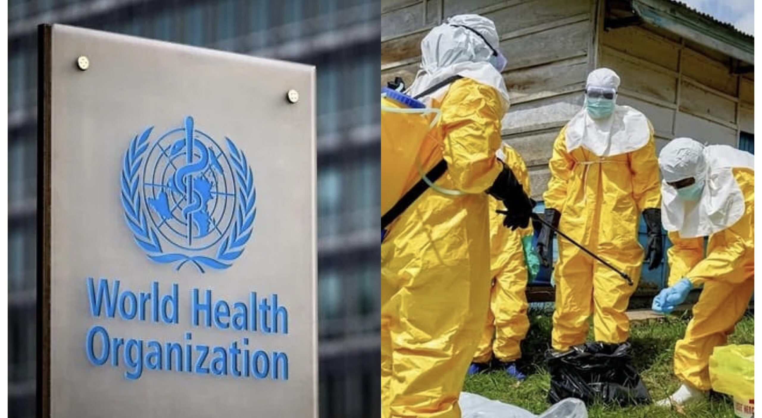 Four African countries with reported Ebola cases