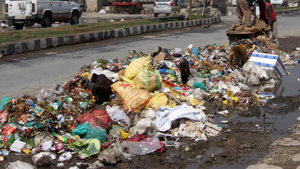 Illegal dump site