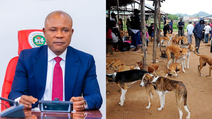 Gov. Peter Mbah and Dogs