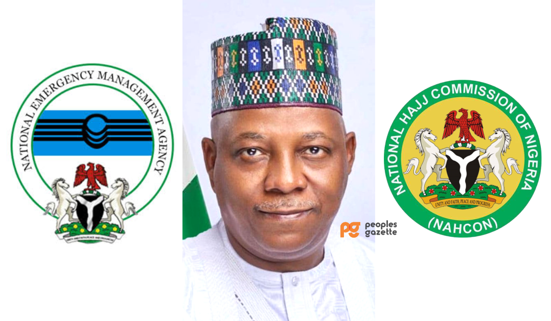NEMA, VP Kashim Shettima, and NAHCON