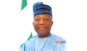 NILDS DG, Prof. Abubakar O. Sulaiman
