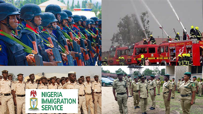NSCDC, fire service, immigration, NCoS
