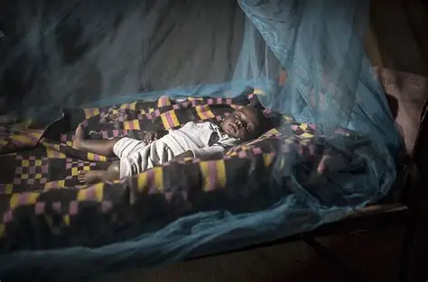 Babies covered under mosquito nets