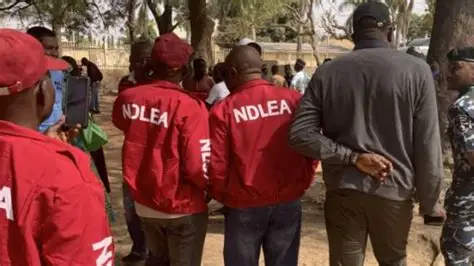 NDLEA agents in Kano