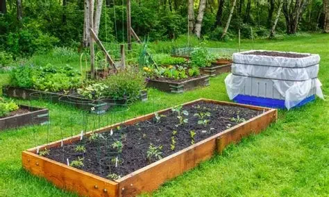 Backyard farming