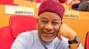Nasarawa South senatorial district, Ogoshi Onawo