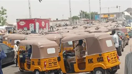 Kano tricycle riders
