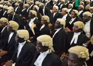 Group of male lawyers used to illustrate the story