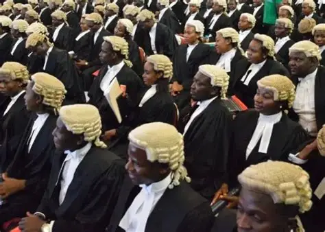 Group of male lawyers used to illustrate the story