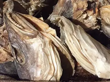 Stockfish heads