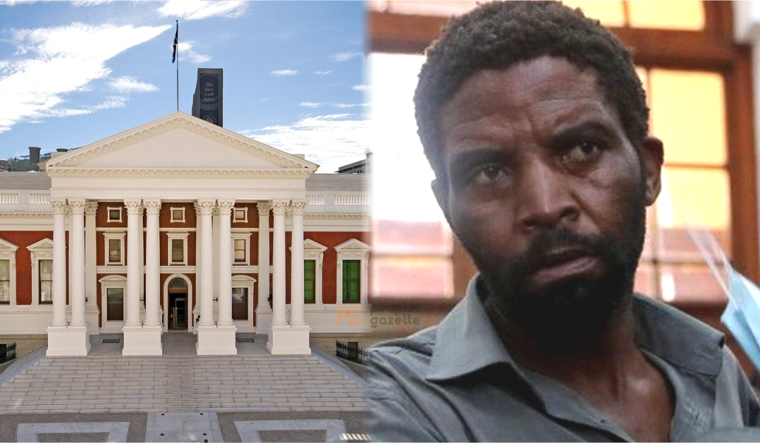 South Africa Parliament building and Zandile Christmas Mafe