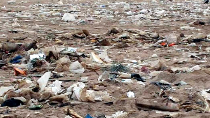 Polluted Soil