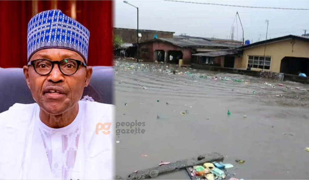 President Muhammadu Buhari and flooded environment