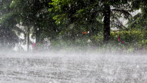 Rainstorm