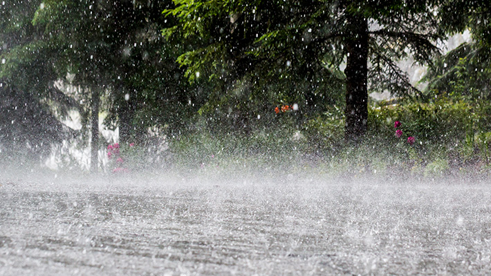 Rainstorm