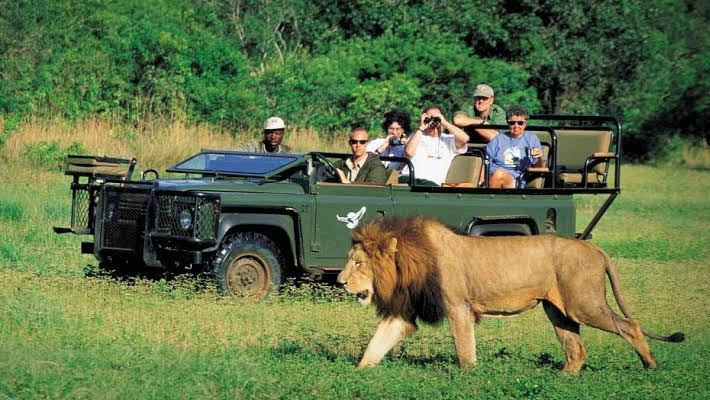 Tourists in Africa