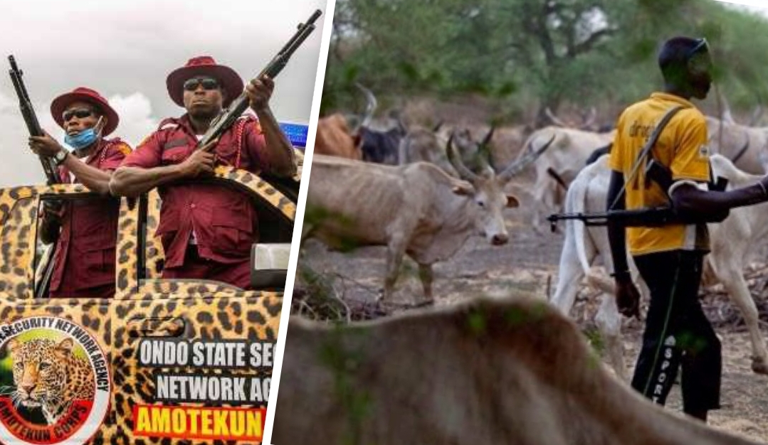 Amotekun and Killer Herdsman
