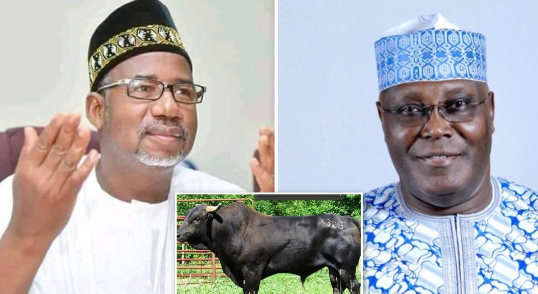 Bala Mohammed, a bull and Atiku Abubakar