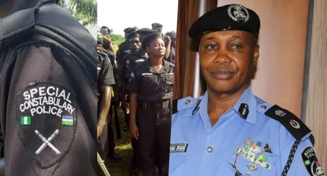 Police Constabularies and Inspector General of Police Usman Baba Alkali