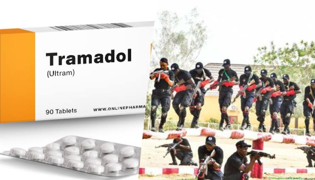 Tramadol/NDLEA