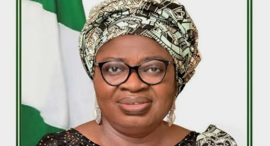 Accountant-General of the Federation (AGF), Oluwatoyin Madein