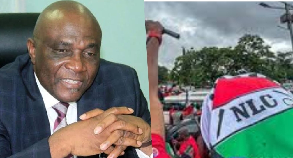 Bayo Onanuga and NLC protesters