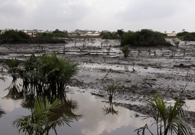 Stubbs Creek Forest Reserve in Akwa Ibom