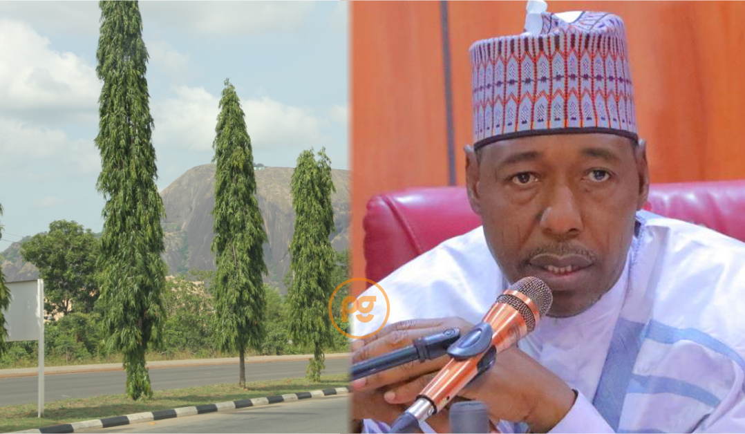 A composite of trees and Governor Babagana Zulum