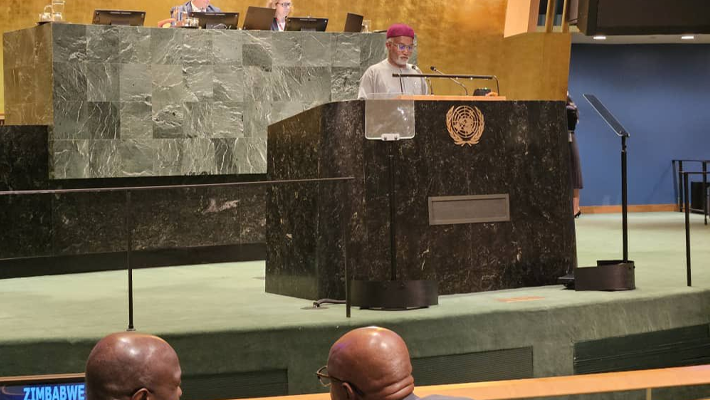 Foreign affairs minister Yusuf Tuggar