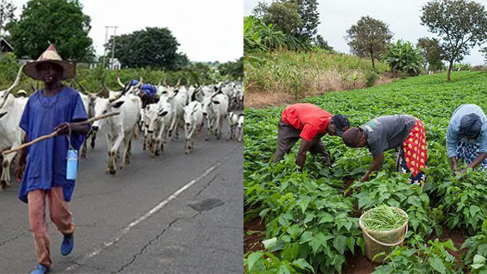 Farmers and herdsmen