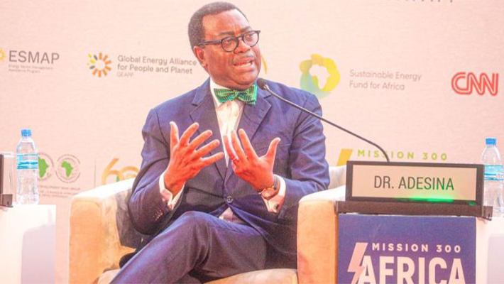 Adesina at summit
