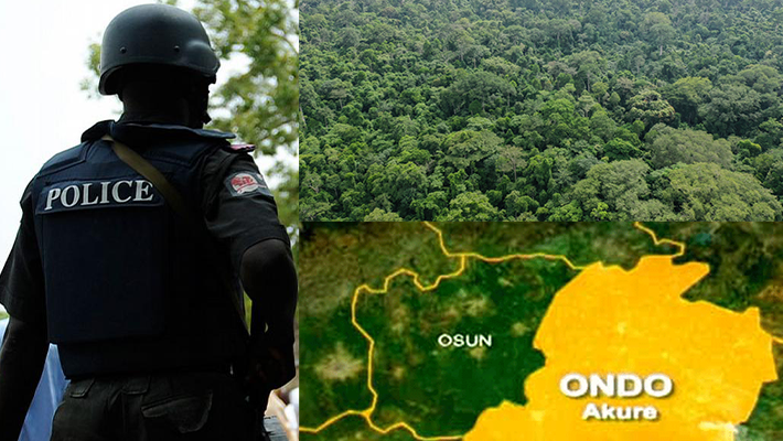 Police, Forests and Ondo