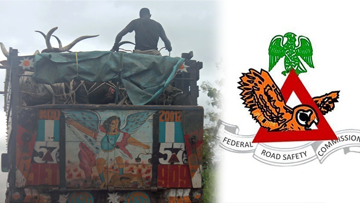 FRSC logo/A truck carrying human and cows