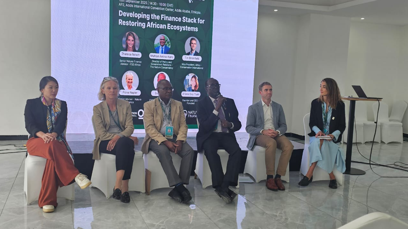 African Green Economy and Sustainability Initiative (AGESI)