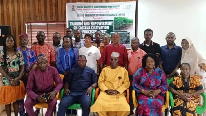 training on cassava cultivation and processing best practices